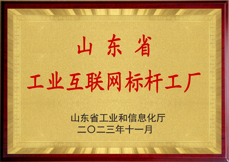 山東省工業(yè)互聯(lián)網(wǎng)標(biāo)桿工廠